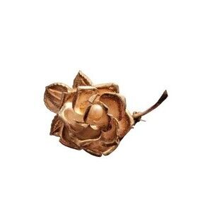 Vintage Sterling Silver Rose With Filigree Pearl Center Flower Stem Brooch Pin